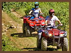 4-Wheeling